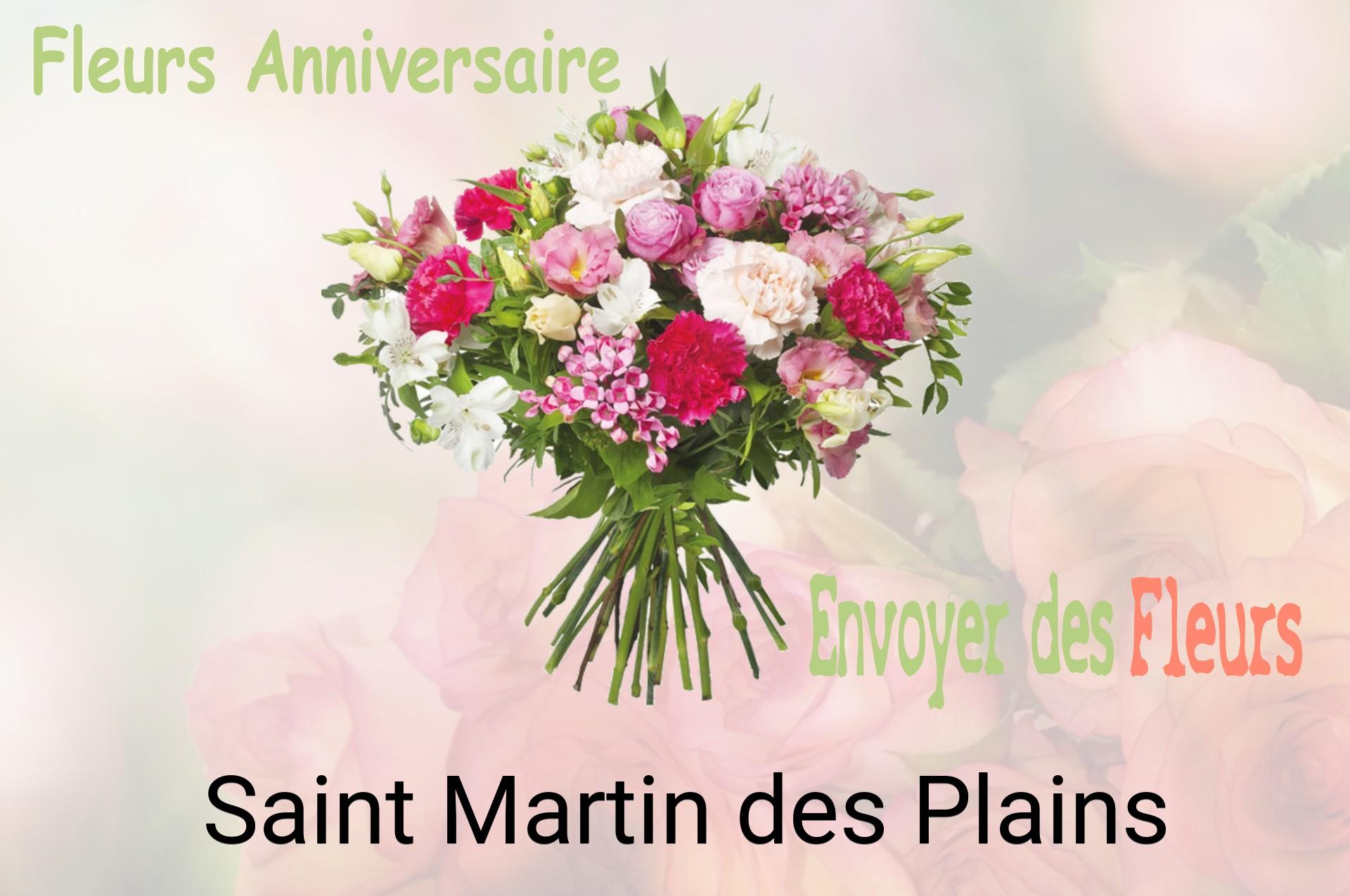 Bouquet de fleurs d’anniversaire livré à Saint-Martin-des-Plains