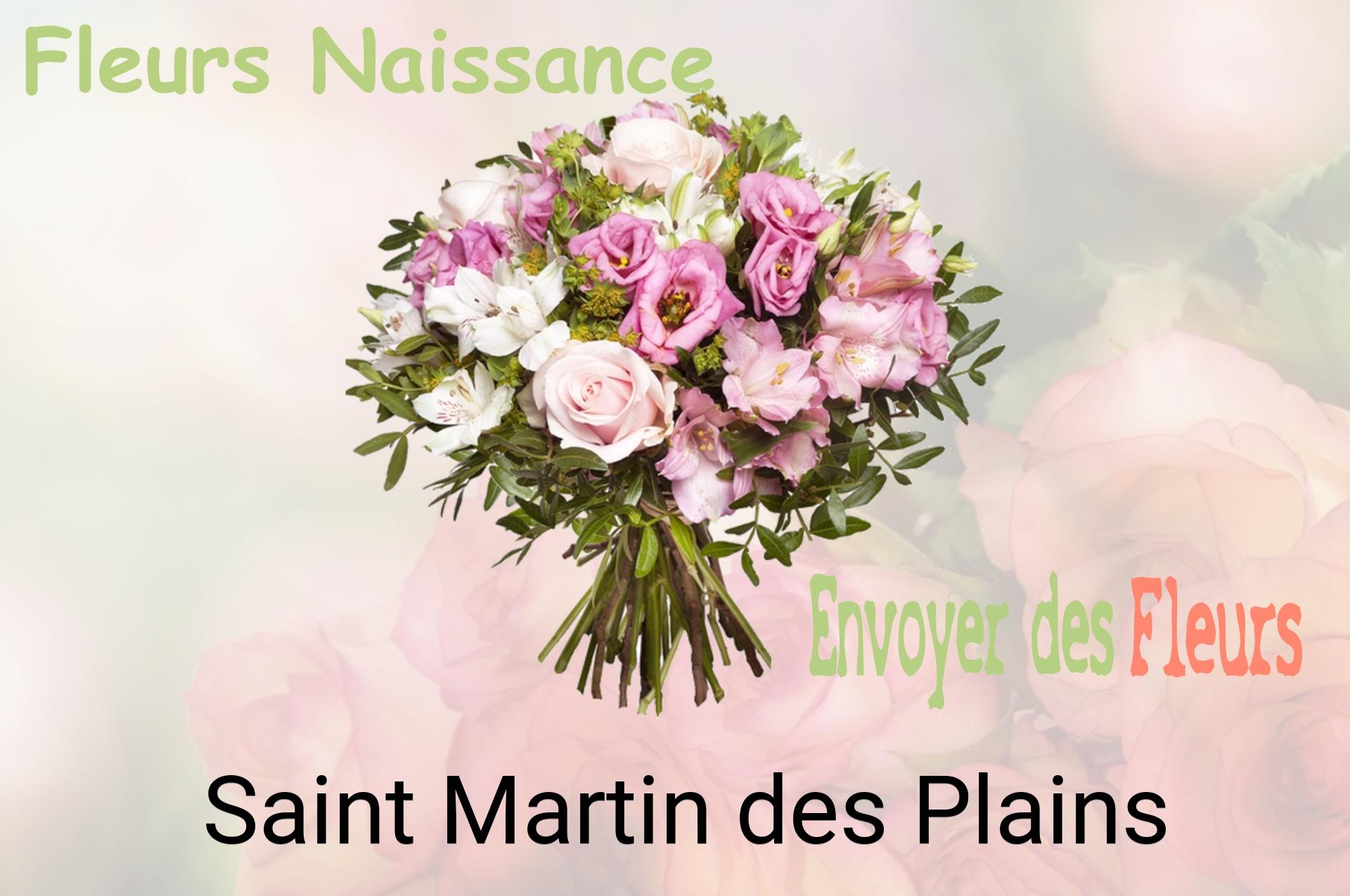 Bouquet de fleurs de naissance livré à Saint-Martin-des-Plains